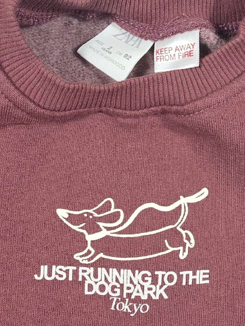 Zara Wine/Mauve Dog Park Graphic Sweatshirt